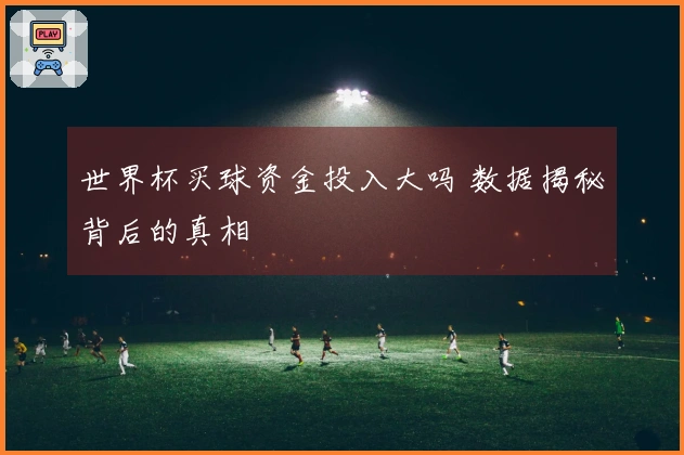 世界杯买球资金投入大吗 数据揭秘背后的真相