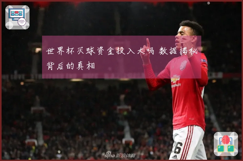 世界杯买球资金投入大吗 数据揭秘背后的真相