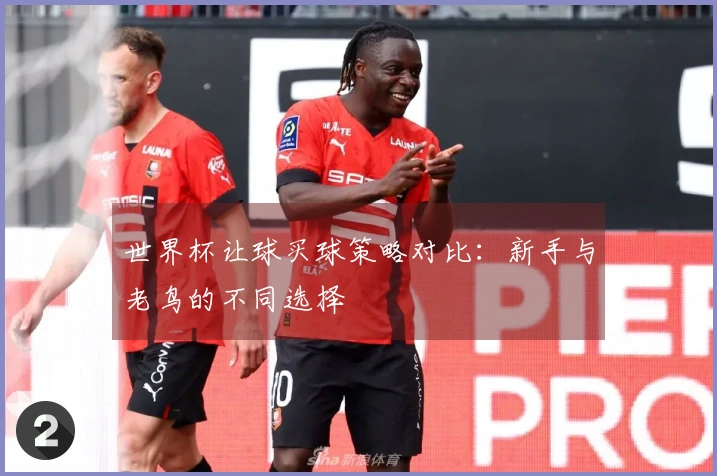 世界杯让球买球策略对比：新手与老鸟的不同选择