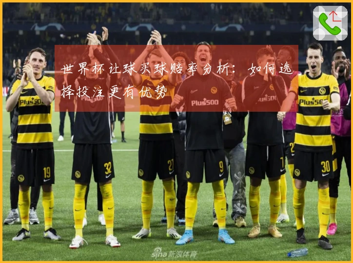 世界杯让球买球赔率分析：如何选择投注更有优势